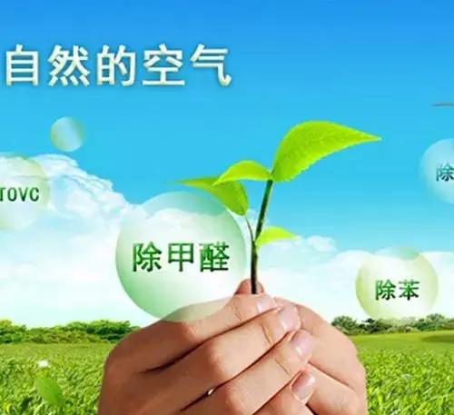 甲醛超標怎么判斷呢？