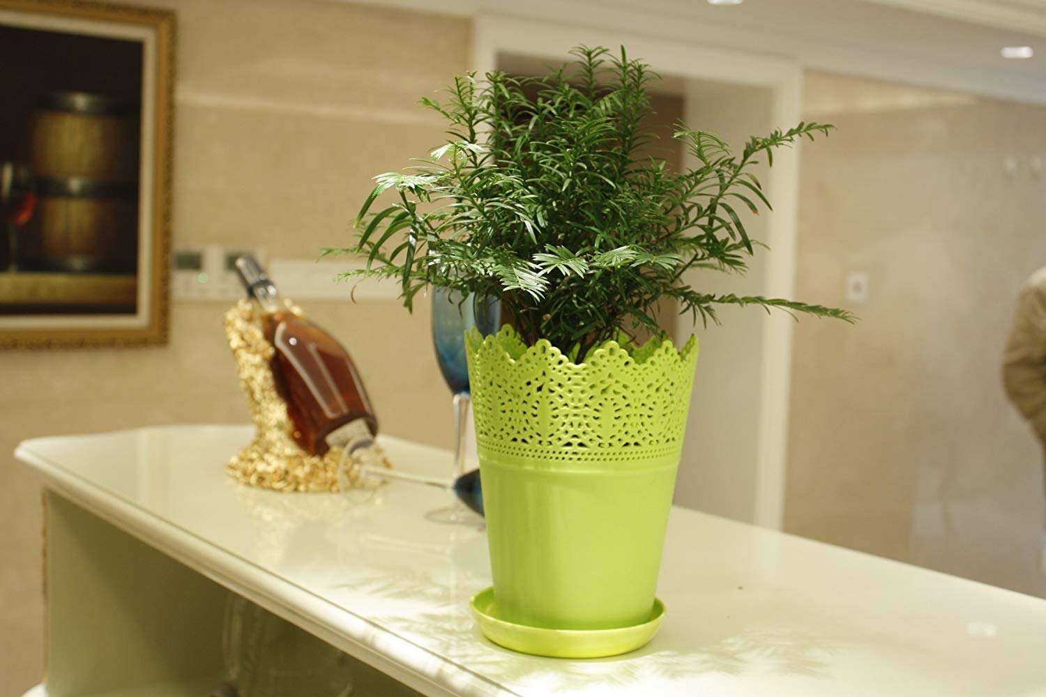除甲醛植物效果如何？